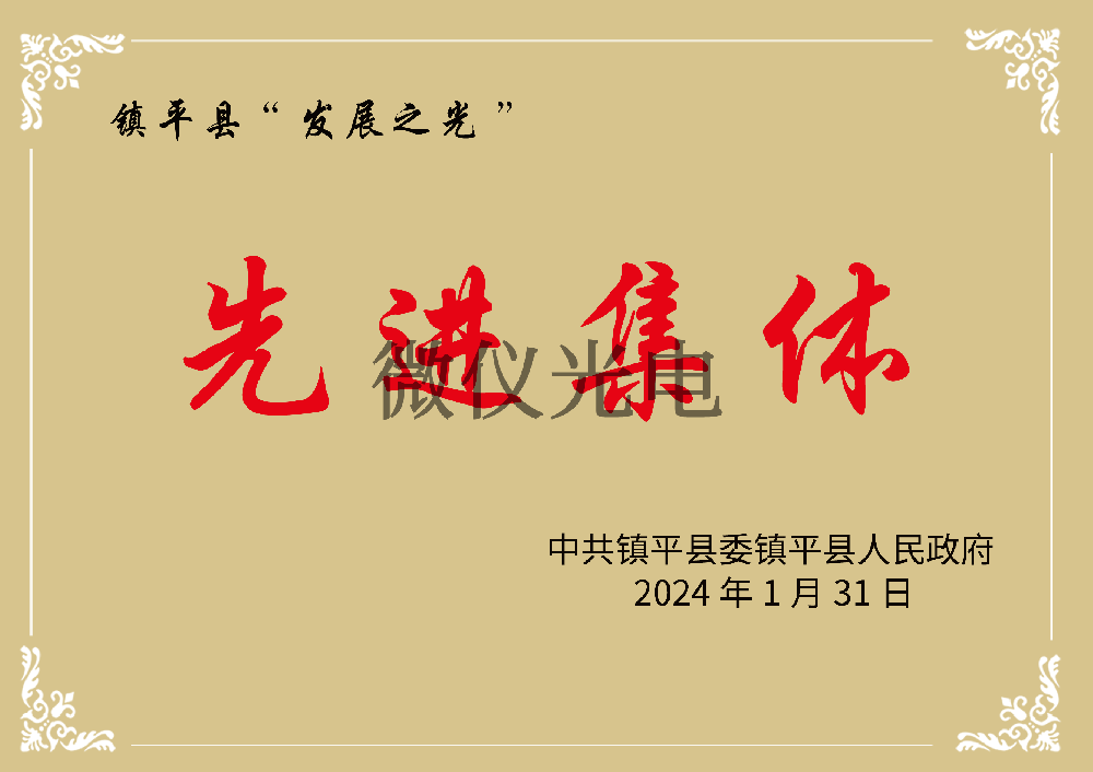 镇平县“发展之光”先进集体
